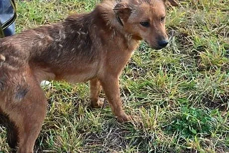 Miodunka potrzebuje cierpliwego wyrozumiałego i ko