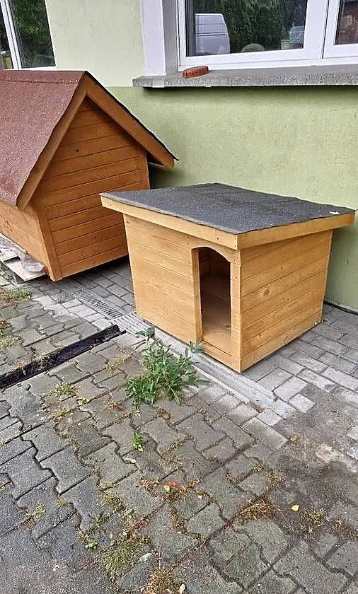 Budy dla pieska, Śląskie, Wodzisław Śląski