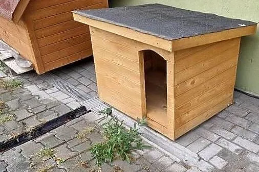Budy dla pieska, Śląskie, Wodzisław Śląski