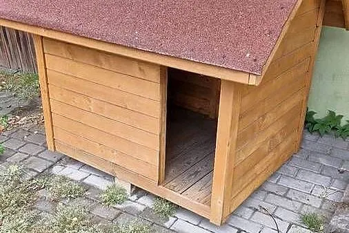 Budy dla pieska, Śląskie, Wodzisław Śląski