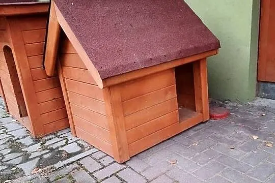 Budy dla pieska, Śląskie, Wodzisław Śląski
