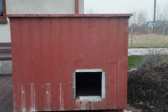 Buda dla dużego psa, Łódzkie, Piotrków Trybunalski
