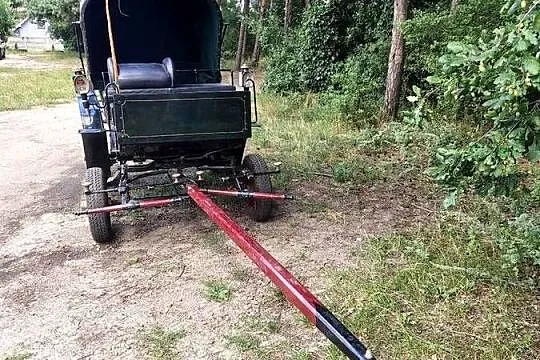 Dorożka, bryczka na parę koni., Wielkopolskie, Poznań