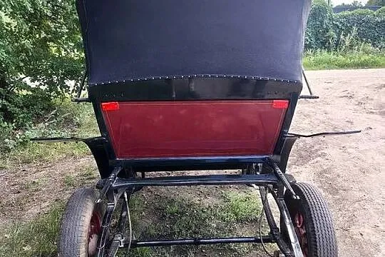 Dorożka, bryczka na parę koni., Wielkopolskie, Poznań