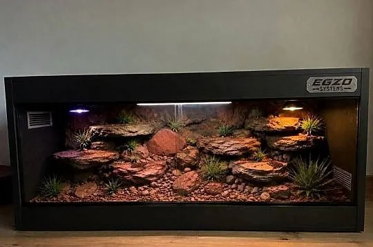 Terrarium specjalistyczne dla gekona lamparciego żółwia greckiego