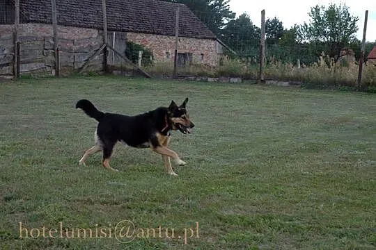 Kto pokocha Murzynka? Kto da mu domek na zawsze?