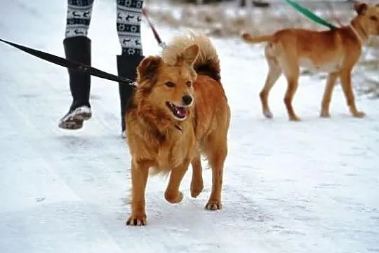 Niewielka i kochana Mila !