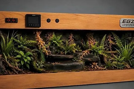 Terrarium od Egzo Systems dla kameleona pytona regiusa