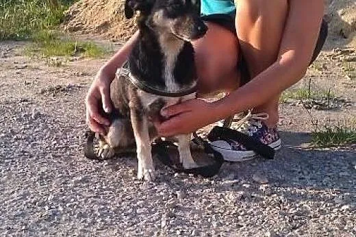Tenisówka, młodziutka dwulatka, maleńka i przesłod