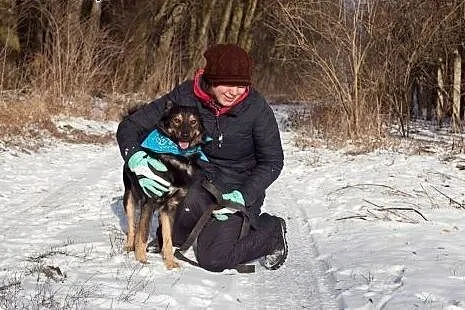 Aron- młody ok 3 letni psiak do adopcji,  łódzkie 