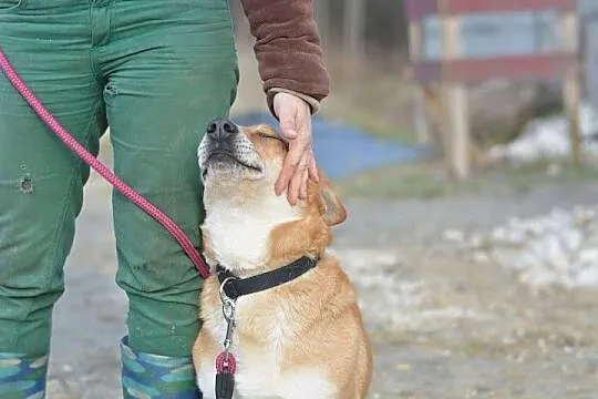 Beniamin nie ma szczęścia do ludzi___ Przeczytaj, 