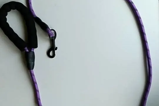 Smycz dla psa 140 cm + saszetka na worki – fioletowa
