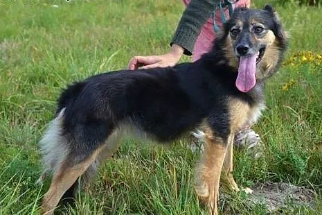 Dwie zakochane w sobie przyjaciółki Megan i Neska-
