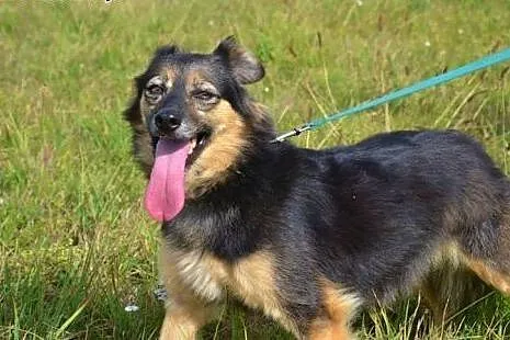 Dwie zakochane w sobie przyjaciółki Megan i Neska-