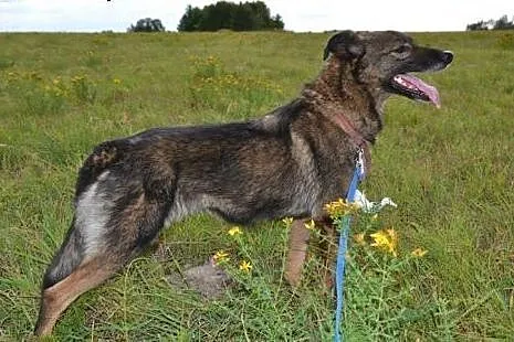 Dwie zakochane w sobie przyjaciółki Megan i Neska-