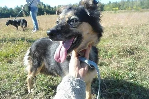 Dwie zakochane w sobie przyjaciółki Megan i Neska-