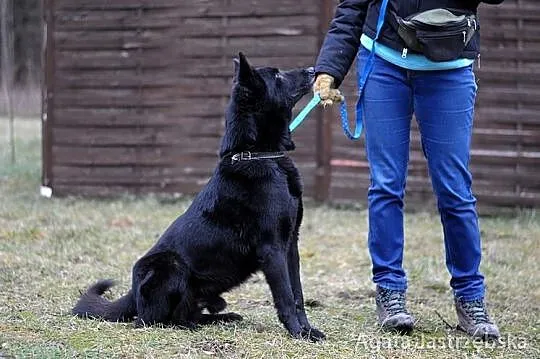 Kruczoczarny Omen :)