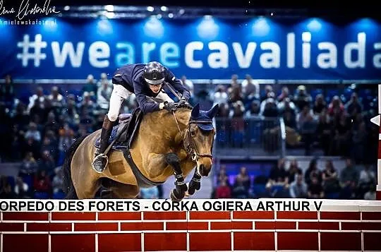 ARTHUR V (Argentinus x Absinth) - nasienie mrożone!, , 