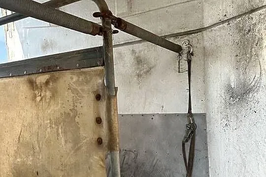 Przyczepka do przewozu koni, Kujawsko-pomorskie, Wonorze