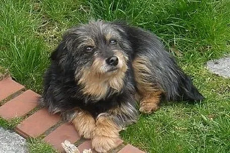 MIMI, do noszenia na rączkach,  dolnośląskie Wrocław