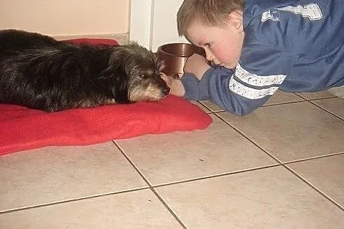 MIMI, do noszenia na rączkach,  dolnośląskie Wrocł