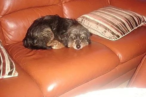 MIMI, do noszenia na rączkach,  dolnośląskie Wrocł