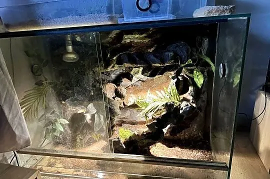 Terrarium 110/50/90