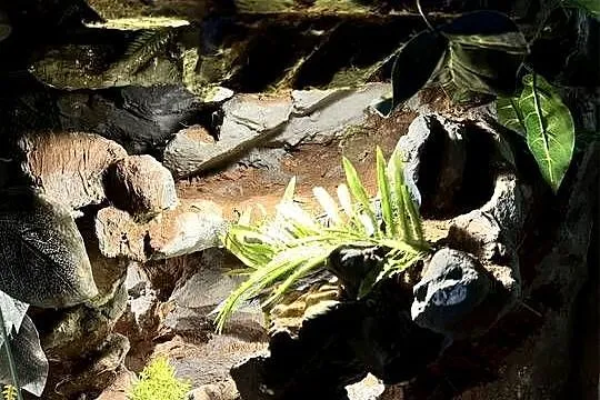 Terrarium 110/50/90, Śląskie, Mikołów