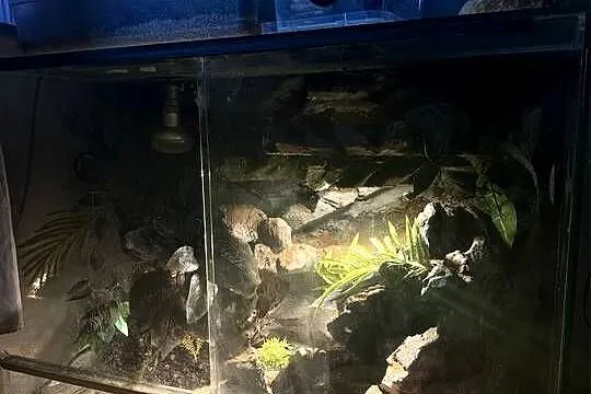 Terrarium 110/50/90, Śląskie, Mikołów