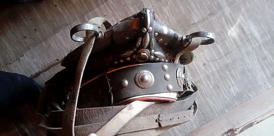 CHOMATO KOŃSKIE 24CAL KOMPLETNE, Małopolskie, Nowy Targ