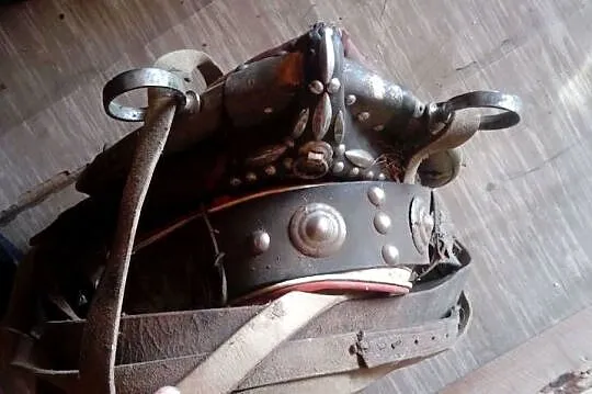 CHOMATO KOŃSKIE 24CAL KOMPLETNE, Małopolskie, Nowy Targ