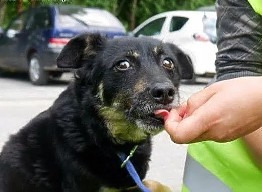 Rumcajs szuka domu, małopolskie Kraków