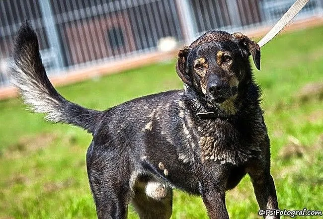 Zeus - naprawdę boski! :)