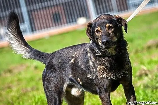 Zeus - naprawdę boski! :)