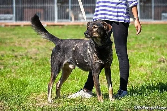 Zeus - naprawdę boski! :)