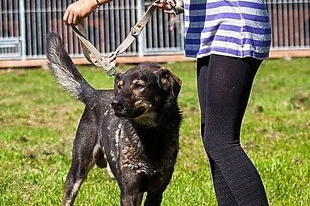 Zeus - naprawdę boski! :)