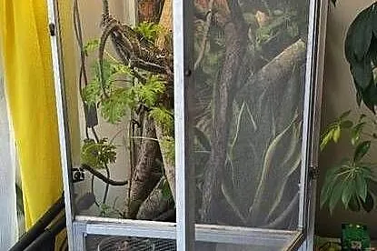 Terrarium dla Agaty lub kameleona, Lubelskie, Lublin