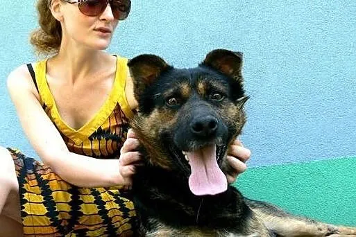 Frugo &#8211; super psiak szuka domu,  Kundelk
