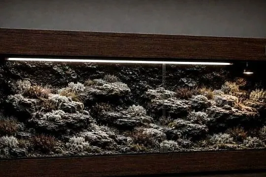 Terrarium od Egzo Systems dla żółwia greckiego gekona lamparciego