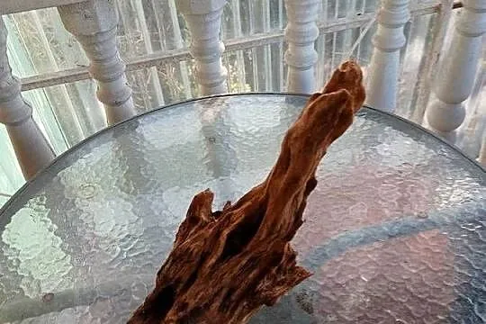 Korzeń do terrarium xl, Lubelskie, Rejowiec Fabryczny