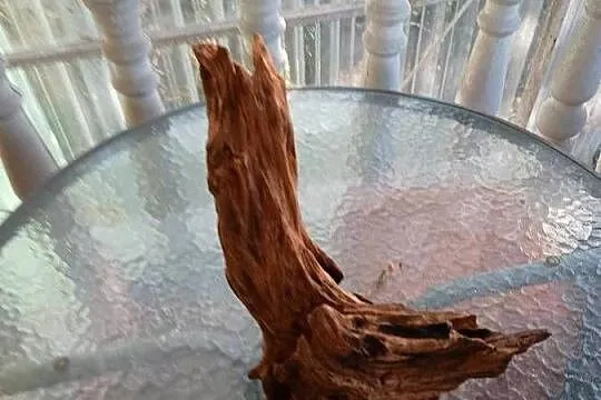Korzeń do terrarium xl, Lubelskie, Rejowiec Fabryczny