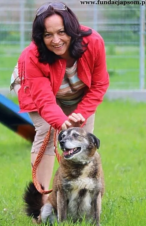 Kamikadze- żywiołowego psiaka poleca Pani Halina Bednarz, Mazowieckie, Nowy Dwór Mazowiecki