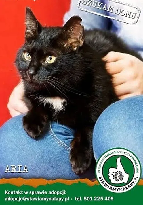 Aria - zaśpiewam , zamruczę, przytulę !!! Fundacja