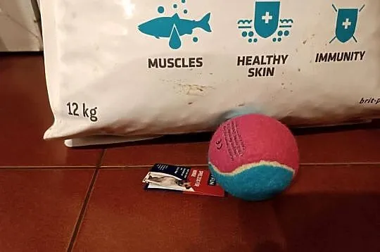 12kg karma sucha BRIT z łososiem. Bezzbożowa. Zabawka GRATIS!, Śląskie, Szczyrk