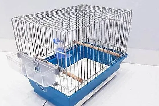 Klatka dla małych ptaków inter-zoo, Śląskie, Dąbrowa Górnicza