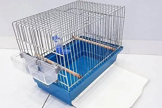 Klatka dla małych ptaków inter-zoo, Śląskie, Dąbrowa Górnicza