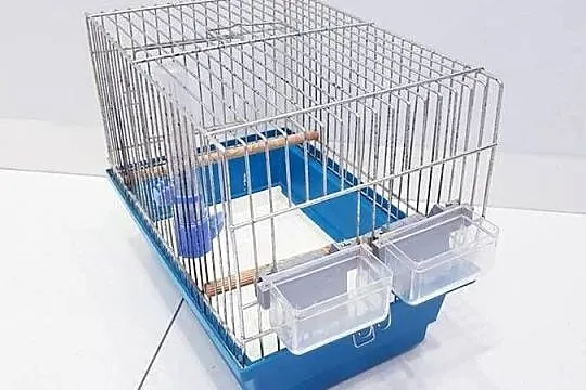 Klatka dla małych ptaków inter-zoo, Śląskie, Dąbrowa Górnicza