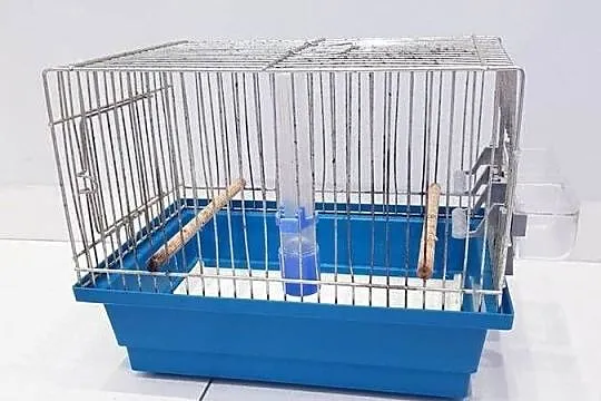 Klatka dla małych ptaków inter-zoo, Śląskie, Dąbrowa Górnicza