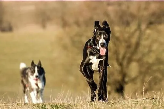 Tajfun - takiemu spojrzeniu się nie oprzesz... :)