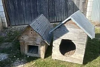 Budy dla psów